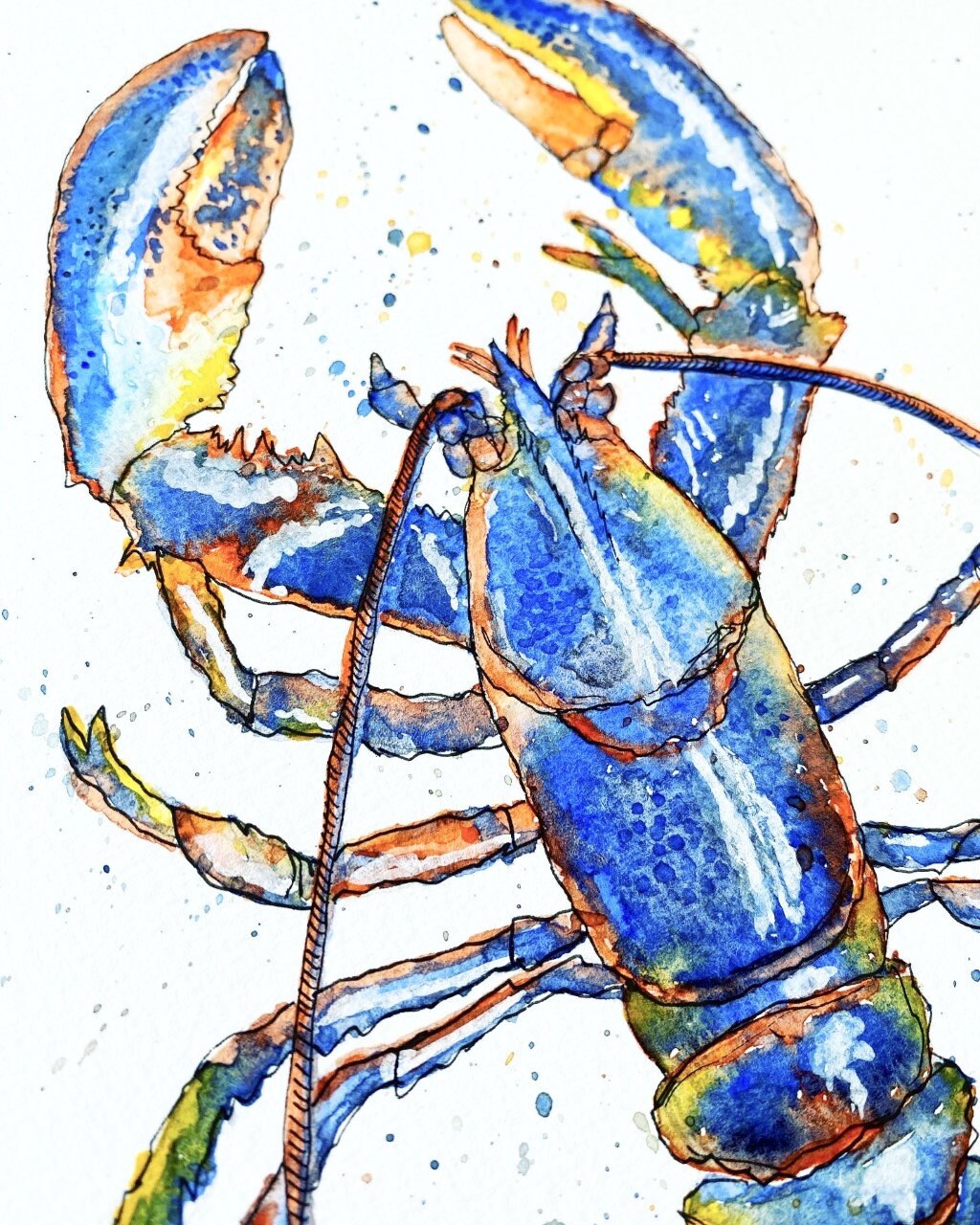 Lobster Watercolour Print